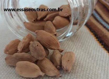 Como Plantar Cardamomo em Vaso ou Horta – Vitaminas e Benefícios