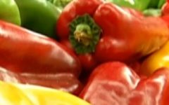 Pimentão no Vaso – Como Fazer Mudar, Semear Pimentão Vermelho