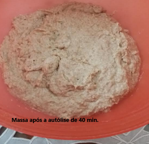 pão-integral-de-massa-madre-e-dobras-