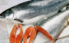 Peixes de Água Salgada – Nomes, Tipos, Vitaminas e Benefícios do Peixe