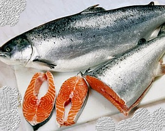 Peixes de Água Salgada – Nomes, Tipos, Vitaminas e Benefícios do Peixe