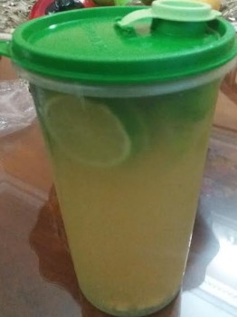 Água com Limão, Gengibre, Mel, Vinagre de Maçã Benefícios Como Beber