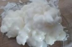 Como Congelar os Grãos de Kefir e Porque? Como Descongelar Kefir