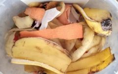 Adubação Laminar, O Que é, Como Fazer – Fertilizante Líquido