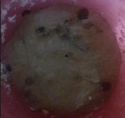 pão-de-chocolate-com-frutas-vermelhas-secas-como-fazer