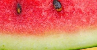 Suco da Parte Branca da Melancia Receita Vitaminas Casca da Melancia
