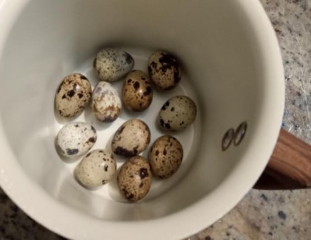 como-descascar-ovo-de-codorna-tempo-de-cozimento-