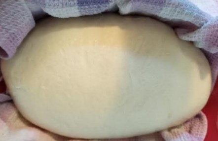 pão-de-leite-com-levain-receita-