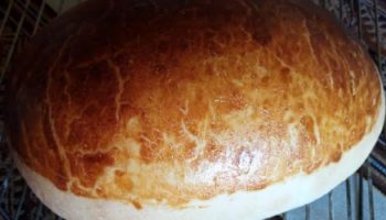 Pão de Leite com Levain Fermentação Lenta – Receita Fácil Massa Madre