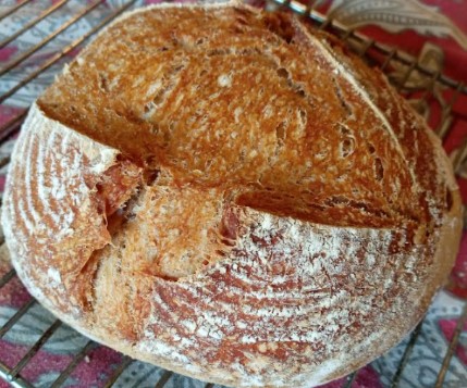 pão-integral-de-levain-com-sementes-goji-berry-fermentação-lenta-
