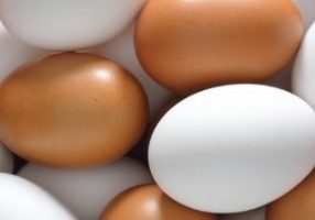 Vitaminas do Ovo Alimento Nutritivo, Saudável que Fortalece a Imunidade