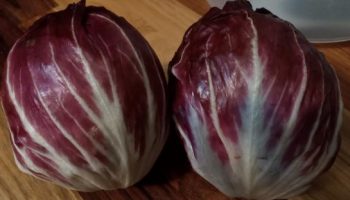 Radichio – Vitaminas, Benefícios da Chicória Vermelha, Sementes, Plantar