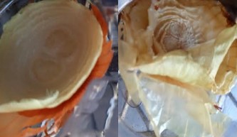 Muda de Cebola – Como Enraizar e Plantar Cebola Na Horta ou Vaso