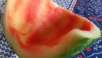 Suco de Casca de Melancia – Aproveitar Vitaminas da Casca da Melancia