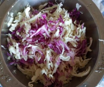 Salada de Repolho Verde e Roxo – Salada Nutritiva para Emagrecer