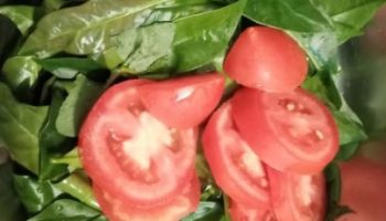 Salada de Ora Pro Nobis com Tomates Salada Nutritiva, Saudável de Panc