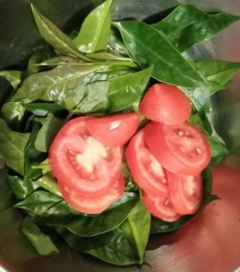 Salada de Ora Pro Nobis com Tomates Salada Nutritiva, Saudável de Panc