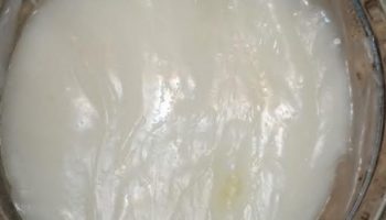 Máscara de Babosa e Maisena para Cabelo Como Fazer Máscara Caseira
