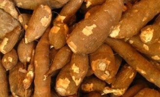 Mandioca que não Cozinhou, o Que Fazer? Amolecer Macaxeira, Aipim