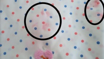 Como Tirar Slime de Tecido – Slime que Secou na Toalha de Mesa e Sofá
