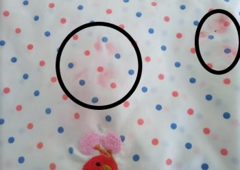Como Tirar Slime de Tecido – Slime que Secou na Toalha de Mesa e Sofá