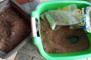 precisa-esterilizar-terra-usada-para-replantar-