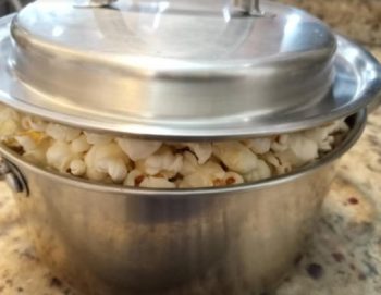 Pipoca Salgada Sem Óleo – Fazer Pipoca Estourando Todos os Milhos