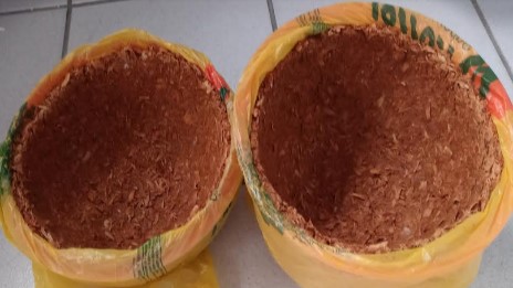 vaso-com-serragem-de-madeira-
