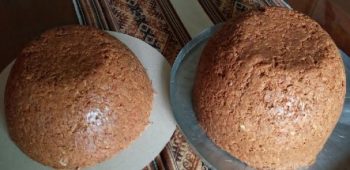 Vaso com Serragem de Madeira – Como Fazer Vaso Econômico em Casa