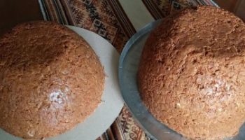 Vaso com Serragem de Madeira – Como Fazer Vaso Econômico em Casa