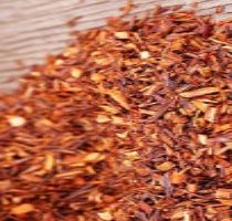 Chá de Rooibos – Chá Vermelho, Benefícios e Foto da Erva Medicinal