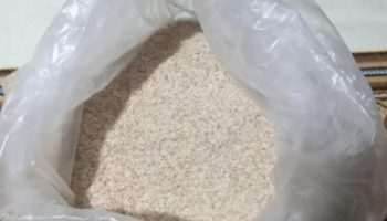 Fibra Psillium – Nutrientes, Benefícios e Como Usar esta Fibra Solúvel