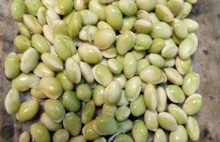 Vitaminas da Fava Verde Nutrientes e Benefícios da Fava e Leguminosas  