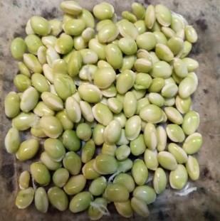 benefícios-da-fava-verde-fava-seca-e-leguminosas-