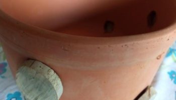Decorar Vaso de Barro com Rodelas de Galhos de Pitangueira