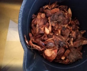 Substrato de Fibra de Coco Verde para Orquídeas – Desfiar Tirar o Tanino