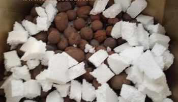 Como Usar Isopor no Cultivo de Plantas – Drenagem com Isopor