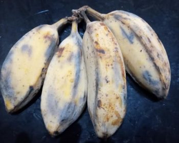 Receita com Banana Pão – Banana Frita com Calda de Laranja e Caramelo