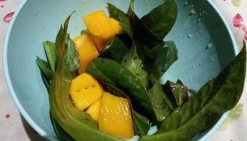 Salada de Ora pro Nóbis com Manga – Salada com Fruta e Verdura