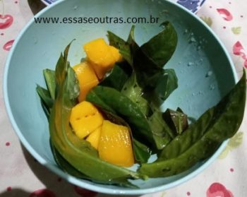 Salada de Ora pro Nóbis com Manga – Salada com Fruta e Verdura
