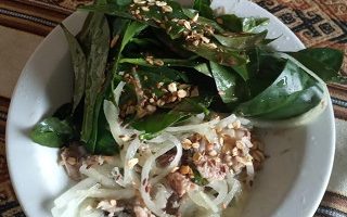 Salada de Sardinha com Cebola Ora pro Nóbis e Sementes Como fazer