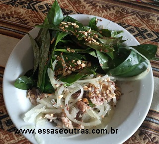 como-fazer-salada-de-sardinha-com-cebola-e-ora-pro-nóbis-