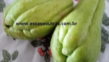 Salada de Chuchu Emagrece – Combate Pressão Alta – Salada Diurética