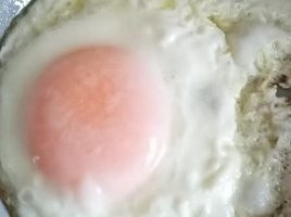 Como Fritar Ovo Sem Grudar na Frigideira – Dicas de Culinária