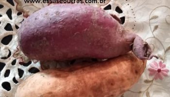Fazer Muda de Batata Doce Roxa e Amarela –Como Plantar as Ramas