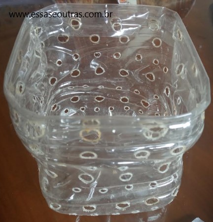 vaso-de-garrafa-pet-com-orquídea-