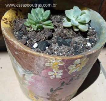 Como Pintar Vaso de Cimento com Pintura Orgânica – Preparar e Pintar