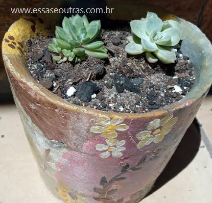 pintura-orgânica-em-vaso-de-cimento-