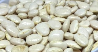 Sopa de Fava Seca e Legumes – Fazer Caldo com Fava Receita com Fava