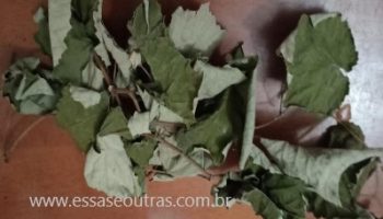 Chá de Folhas de Uva – Benefícios da Folha da Videira ou Parreira